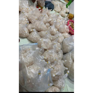 hạt đác tươi 1kg-Hà nội c
