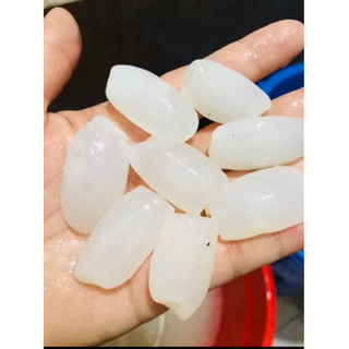 Hạt đác tươi  Bự 1kg- hà nội