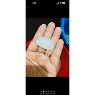 Hạt đác tươi  Bự 1kg- hà nội