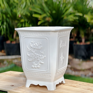   Có giá sỉ  Chậu nhựa trồng cây vuông tứ quý trắng 
