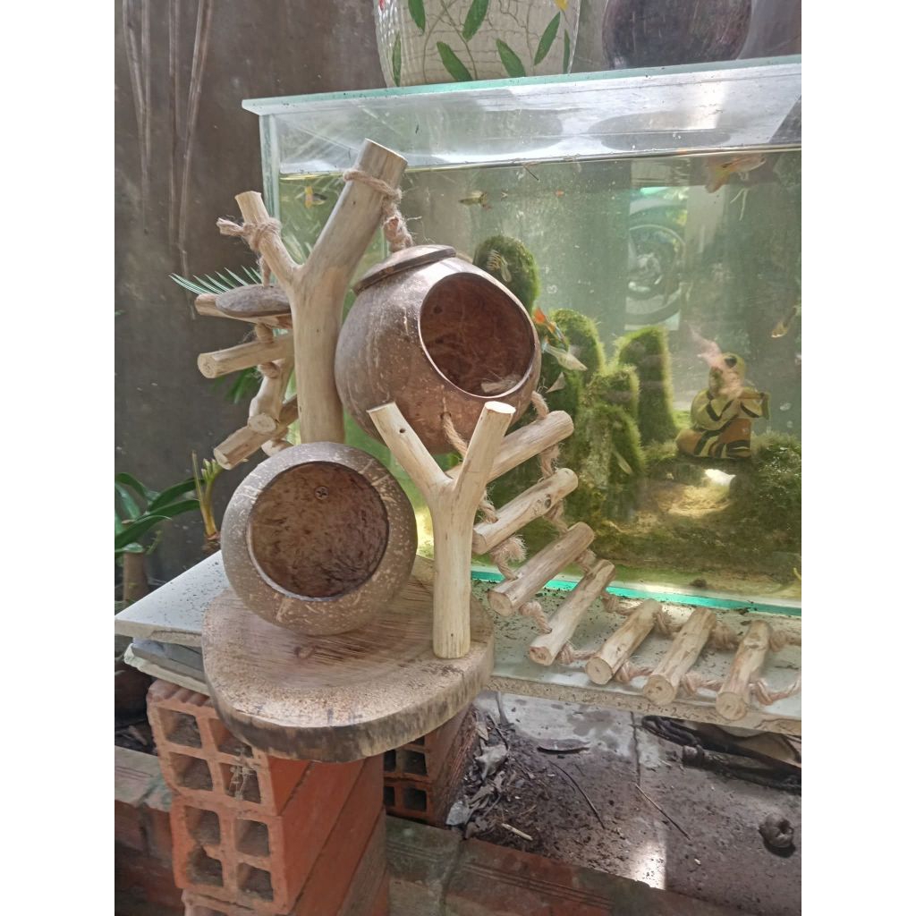 Tổ Ngủ Hamter Sóc Bay