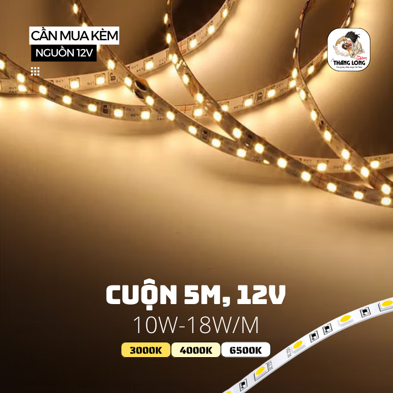 Led Dây Dán 2835 12V (by MD Led Lighting), (5M, 120 Led/180 Led/240 Led, 8MM), (ánh sáng: vàng/trung tính/trắng)