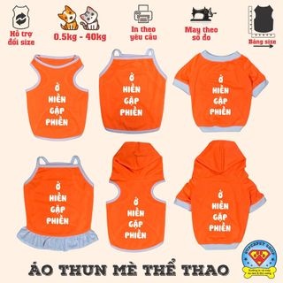 ÁO THÚ CƯNG LOGO IN CHỮ Ở HIỀN GẶP PHIỀN CAM
