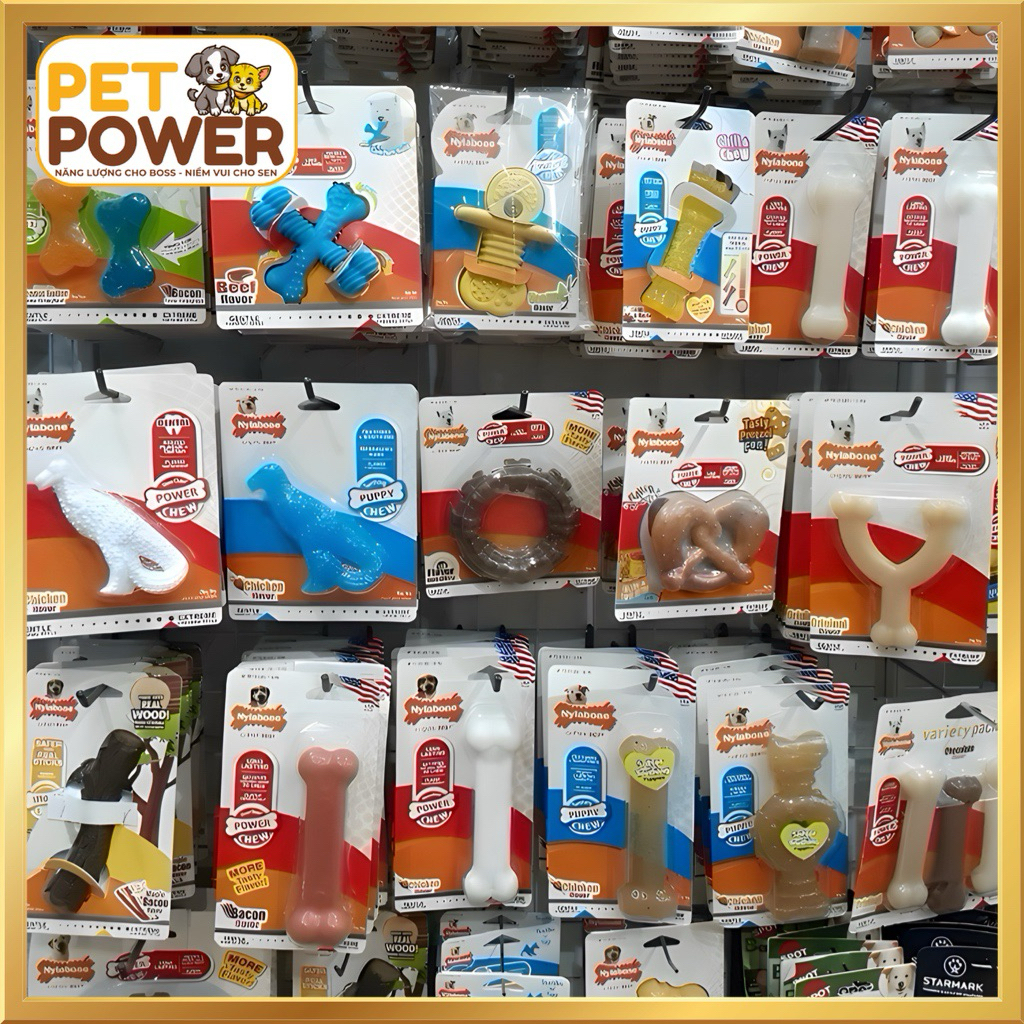[Hàng Mỹ] - Đồ chơi cao cấp cho chó Nylabone Dog Toys Dog Chews