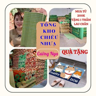  Chiếu nhựa gấp gọn chiếu ngủ văn phòng trải ăn cơm du lịch dã ngoại hàng Việt Nam 