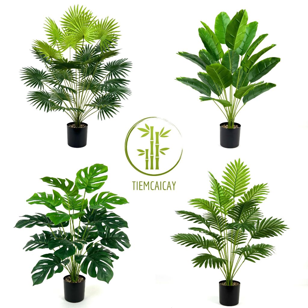 Cây Giả Trang Trí Cao Cấp Cao 65-85-120cm, Cây Trầu Bà, Cau, Chuối, Cọ, Khoai Trang Trí Decor Nhà Cử
