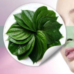 BỘT LÁ TRẦU KHÔNG 100GR