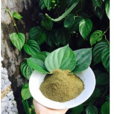 BỘT LÁ TRẦU KHÔNG 100GR