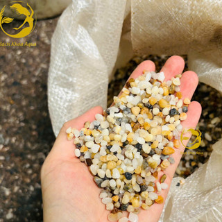 Sỏi trứng 3 màu trang trí bể cá