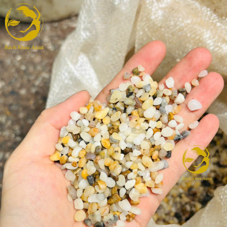 Sỏi trứng 3 màu trang trí bể cá
