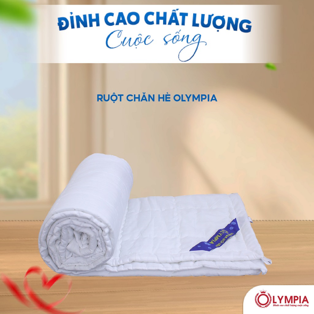 Ruột chăn hè Olympia