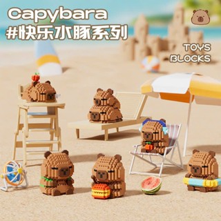 Mô Hình Lắp Ráp Capybara Hoạt Hình Dễ Thương – Trang Trí Bàn Học, Góc Làm Việc Mini Độc Đáo