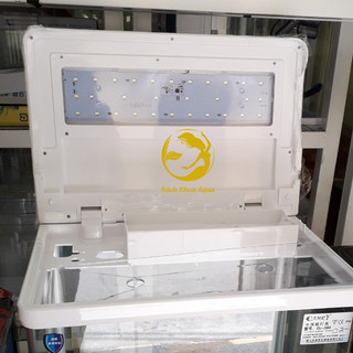 Bể CR Q3380 - Bể đúc có sẵn hệ thống đèn, lọc, phụ kiện phù hợp trang trí nhà cửa, văn phòng