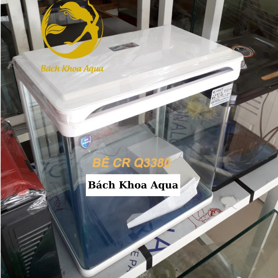 Bể CR Q3380 - Bể đúc có sẵn hệ thống đèn, lọc, phụ kiện phù hợp trang trí nhà cửa, văn phòng