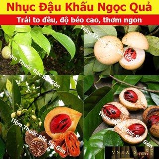 Nhục Đậu Khấu 500g
