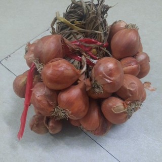 Hành Ta,Hành Bắc Khô kinh môn Hải Dương nhà trồng hàng loại 1 không chất Bảo quản