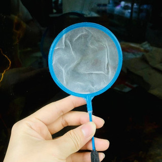 Vợt cá mini 5cm – Chuyên dụng cho cá bảy màu, cá tép cảnh, lưới mềm chống xước