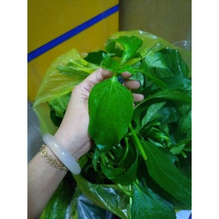 rau the 500g