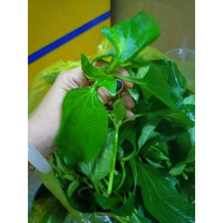 rau the 500g