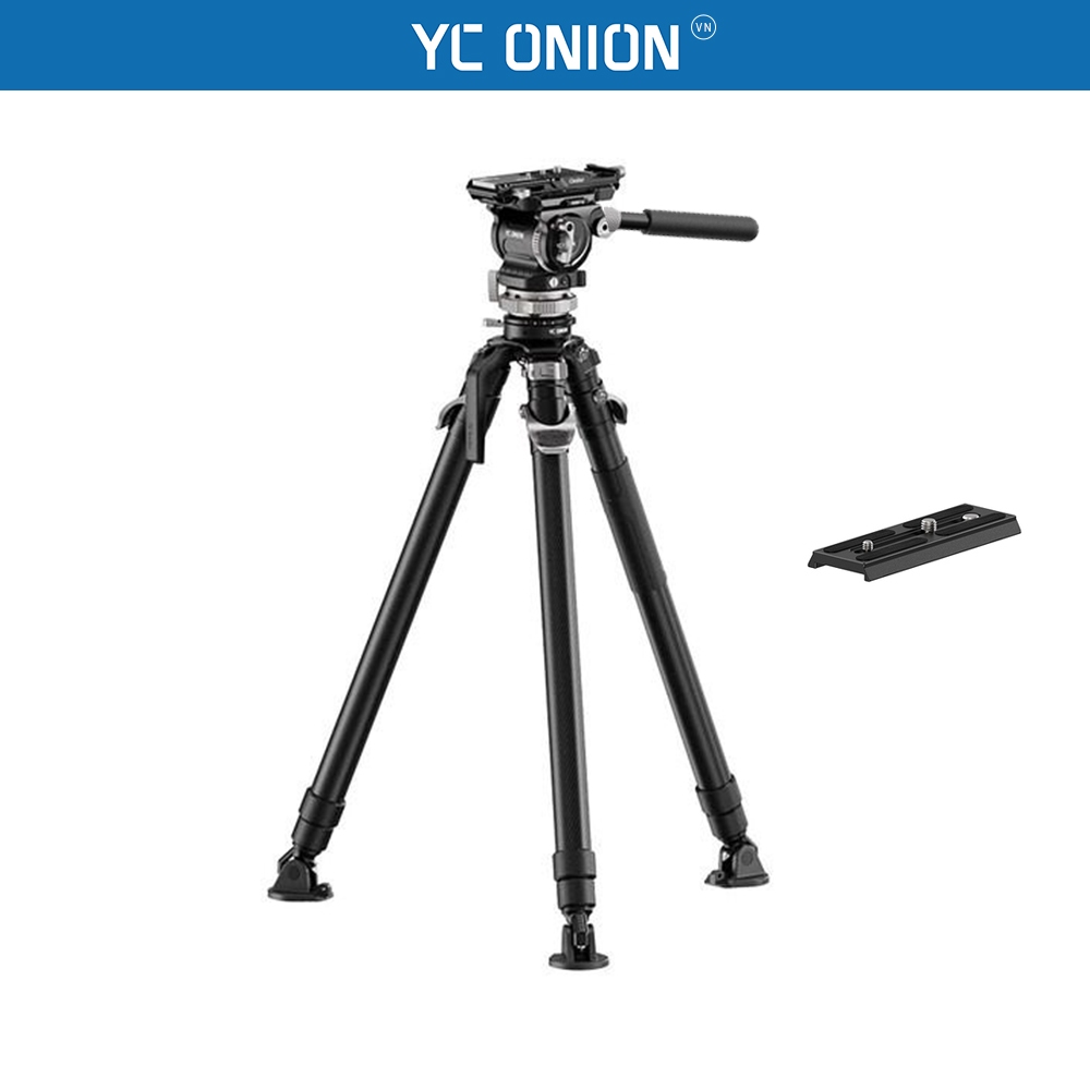 YC Onion Pineta Peak Carbon Fiber cao 155cm tích hợp đầu dầu Cedar CB7 và bộ kit tháo lắp nhanh chín