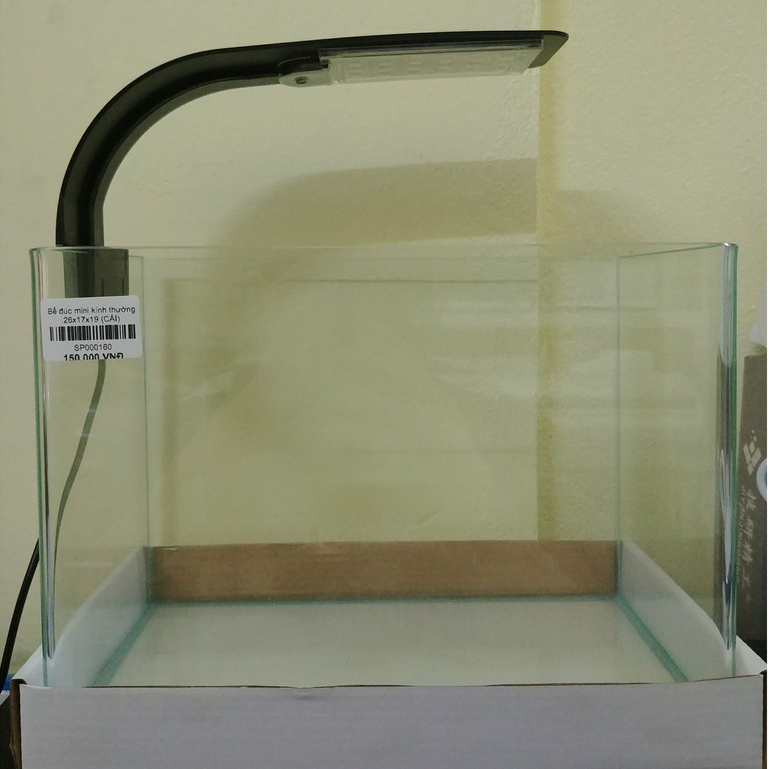 Bể đúc mini 22x15x17cm – Bể cá cảnh nhỏ gọn, kính liền khối, bo cong 2 góc