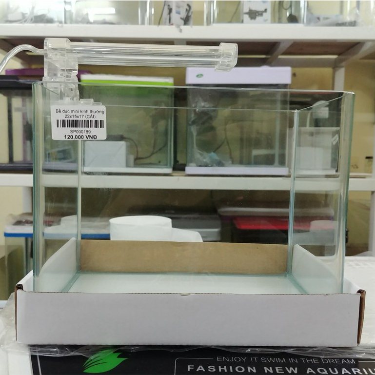 Bể đúc mini 26x17x19cm - Bể kính đúc liền khối bo 2 góc, để bàn làm việc, trang trí góc học tập, văn phòng