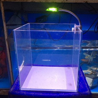 Bể Cubic siêu trong 20cm – bể siêu trong vuông cạnh, dùng nuôi cá cảnh nhỏ, thủy sinh mini, cây thủy sinh