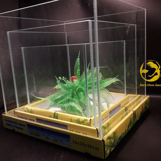 Bể cubic siêu trong 30 - Bể kính lập phương dài 30cm, hồ cá cảnh mini, phù hợp cá betta, cá tép