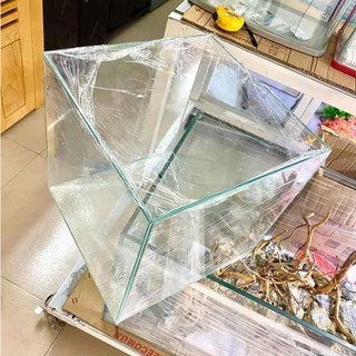 Bể cubic siêu trong 30 - Bể kính lập phương dài 30cm, hồ cá cảnh mini, phù hợp cá betta, cá tép