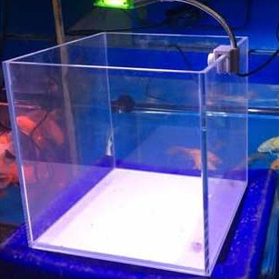 Bể cubic siêu trong 30 - Bể kính lập phương dài 30cm, hồ cá cảnh mini, phù hợp cá betta, cá tép
