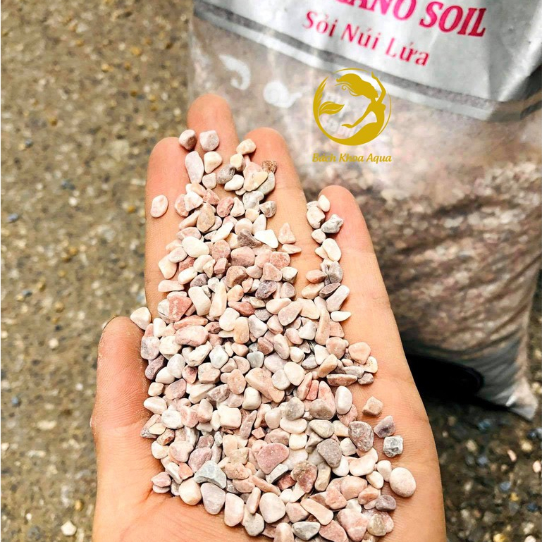 Sỏi núi lửa N.M.F – đá sỏi lọc nước bể cá, giúp giữ nước trong, trang trí hồ thủy sinh, bể cá