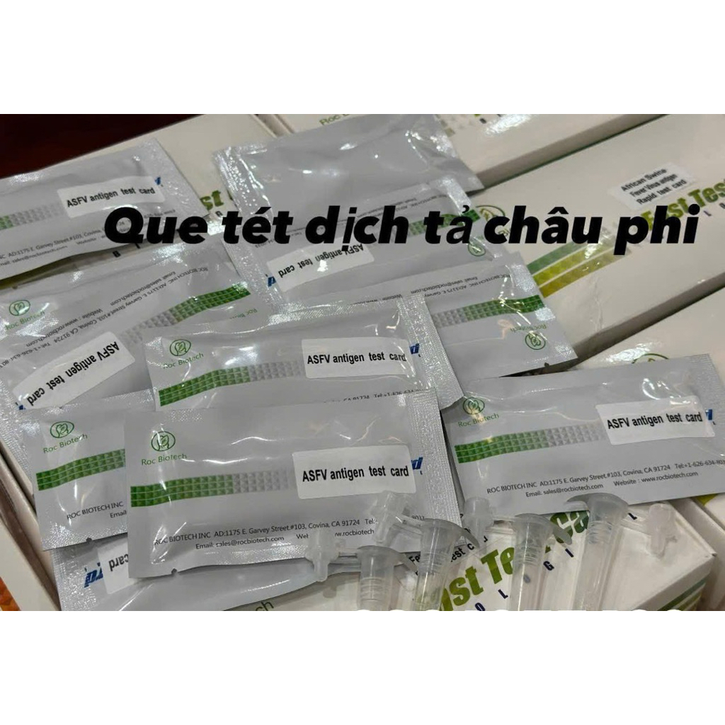 Que thử nhanh dịch tả heo, lợn Châu Phi (ASFV Ag Rapid Test Card) chính xác cao