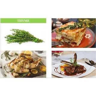 Lá Thyme (Cỏ Xạ Hương) khô