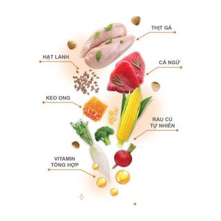 thức ăn hạt cho mèo catsrang 400g