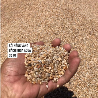 Sỏi nắng vàng - Đá sỏi tự nhiên trang trí bể cá cảnh, nền hồ thủy sinh