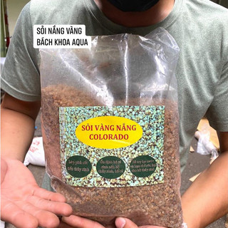 Sỏi nắng vàng - Đá sỏi tự nhiên trang trí bể cá cảnh, nền hồ thủy sinh