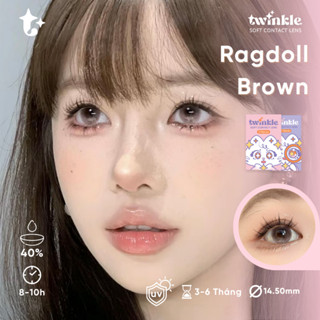   Dia 14.5 Kính áp tròng Ragdoll Brown hiệu ứng phủ bóng 2 chiều lens twinkle 