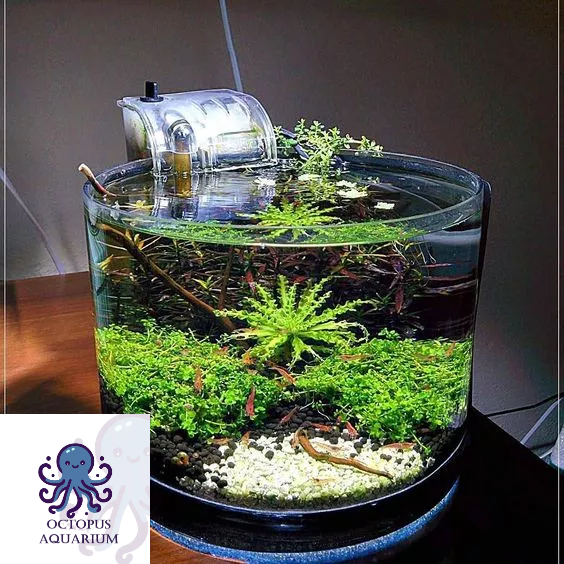 Lọc Thác Bể Cá XP-06 (bao gồm cả lọc váng) - Lọc thác bể cá mini - Lọc bể cá cảnh - hàng chính hãng_