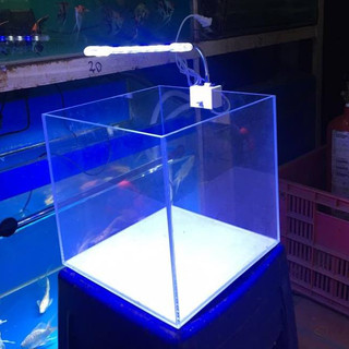 Bể Cubic siêu trong 25cm - Kính đẹp, bể thủy sinh phù hợp đặt bàn làm việc, bàn tiếp khách
