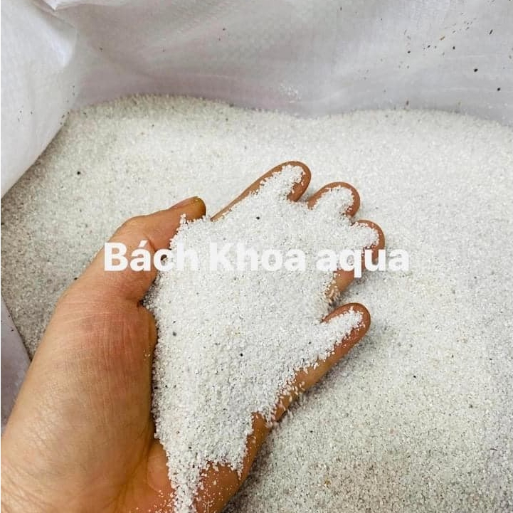 Cát trắng hạt to, cát trải nền hồ cá, cát trang trí bể thủy sinh