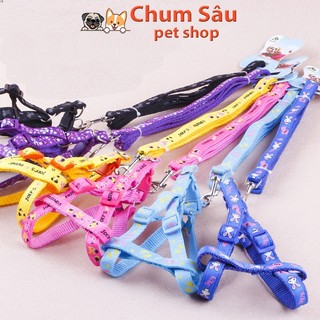 Dây Dắt 2 Lớp Cho Chó Mèo