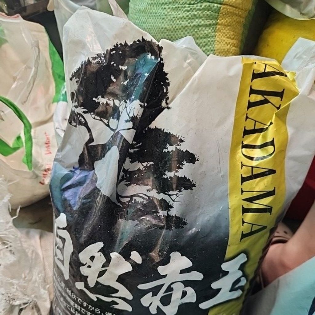 1kg đá akadama sz M( bao nhãn đen) trồng cây bonsai sen đá xương rồng