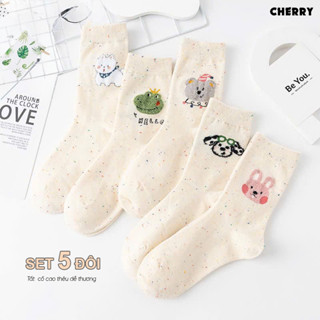 Set tất nữ 5 đôi cổ cao họa tiết thêu xinh xắn,tất vớ dệt kim tự động co giãn thoáng khí-Cherry shop