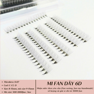  Mi Fan 6D Dây Dày 0.07  500 Fan Hộp  Cong C-CC-D Mi Bao Đen Mềm Mại Lông Mi Nhân Tạo Thúy Hà. 