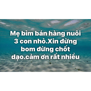 [2hand]Đầm si 2hand nhiều mẫu link 2
