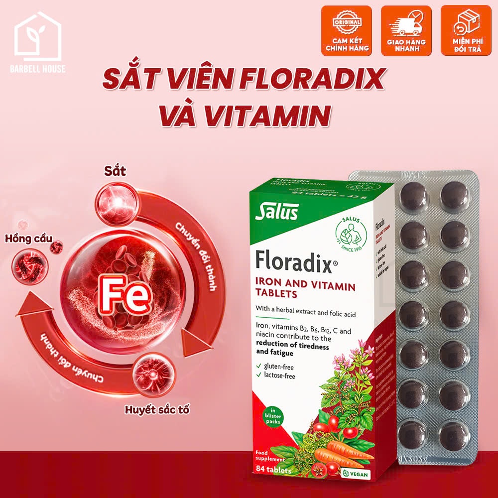 Sắt viên hấp thụ cao [Floradix Iron] - mẹ bầu, sau sinh, người thiếu máu, uể oải, hoa mắt chóng mặt