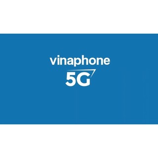 SIM VINAPHONE BIG50Y 01 THÁNG  [CÓ ESIM]