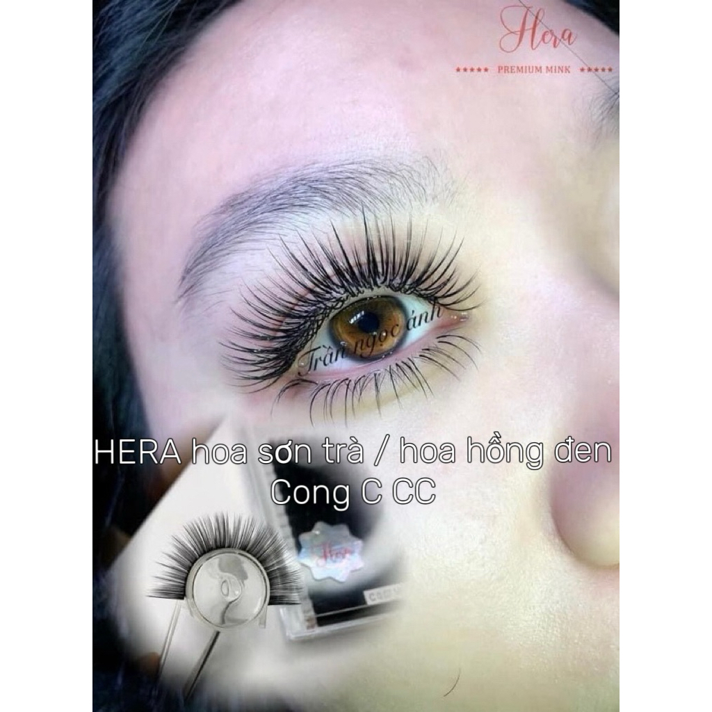 MI cao cấp HOA SƠN TRÀ - mi hoa hồng đen