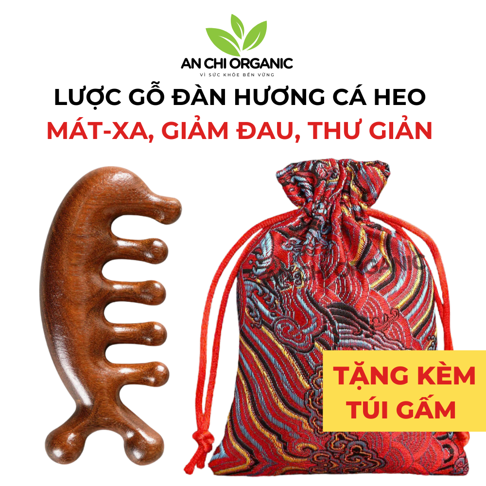 (TẶNG TÚI GẤM) Lược Gỗ Đàn Hương Massage Đầu Mặt Cổ Vai Gáy Thư Giản, Giảm Đau Mỏi  Nhiều Hình Dạng An Chi Organic