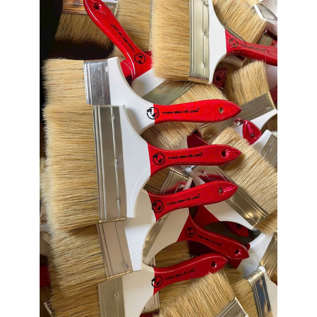 Cọ Thanh Bình HL- Cọ Bản lớn